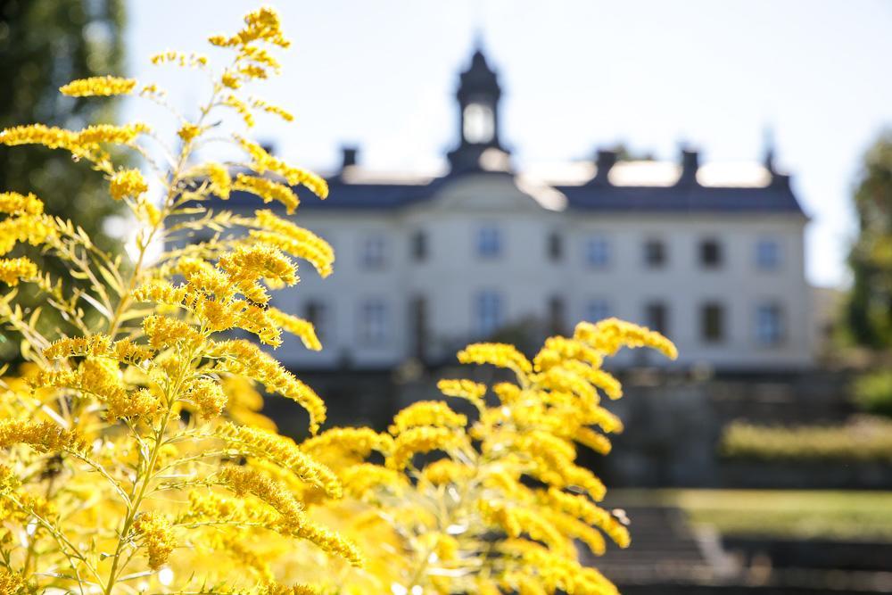 エーケレー Kaggeholms Slott Bed & Breakfast エクステリア 写真